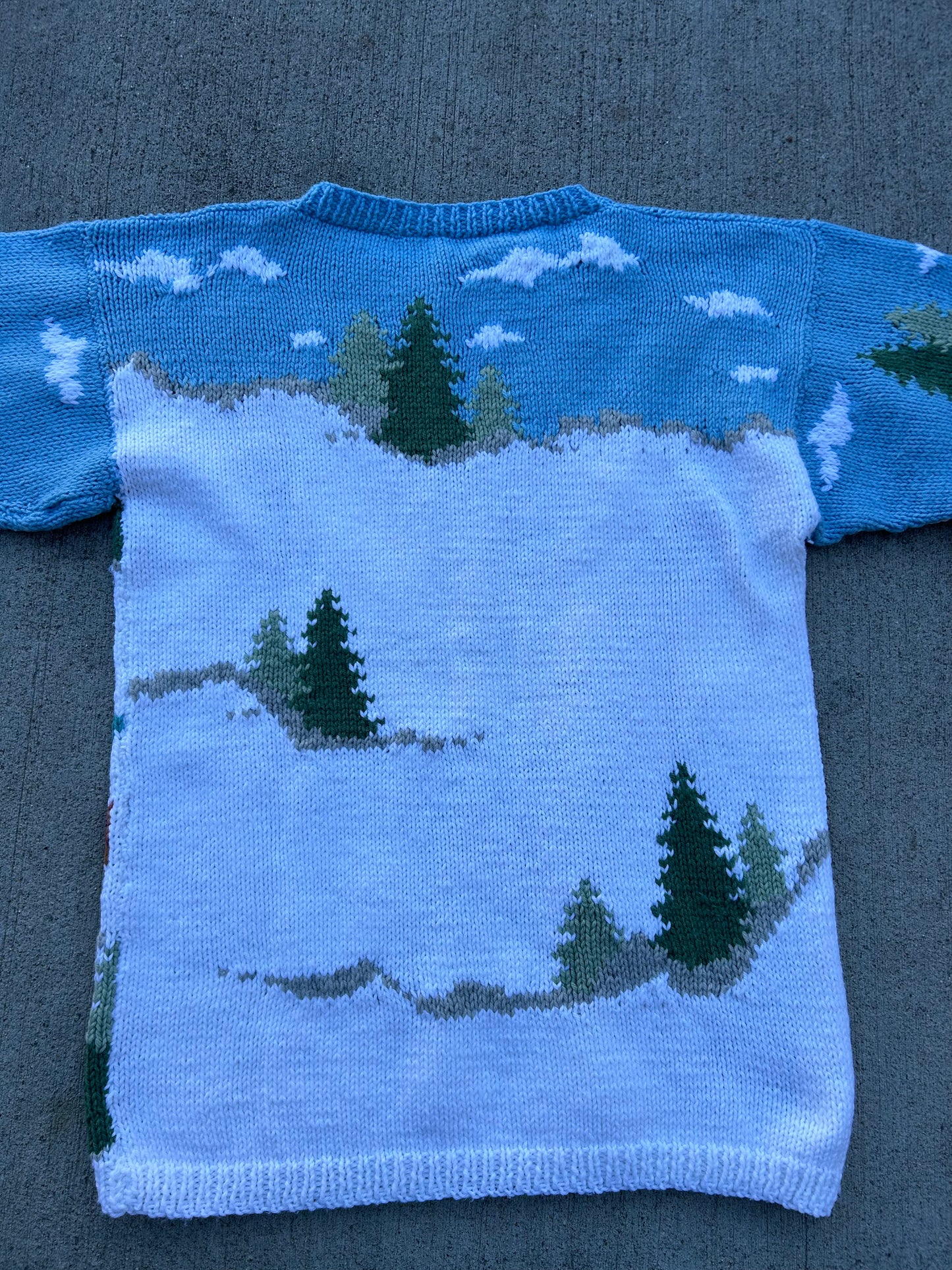 Winter Knit Sweater
