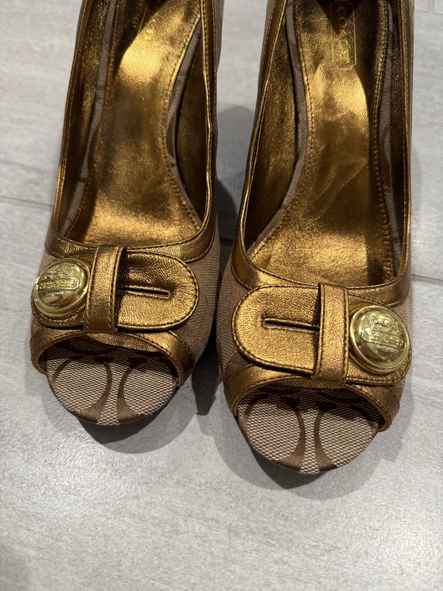 Coach Wedges